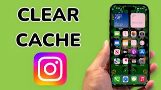 How To Clear Cache On Instagram On iPhone