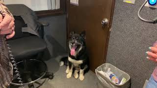Meet Nanuck! AJ's Animals for Monday, February 24th [VIDEO]
