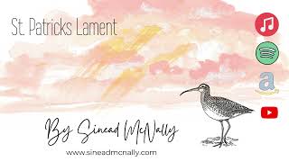 Saint Patricks Lament // Instrumental // Sinead McNally