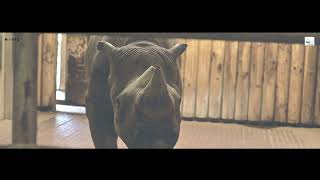 ZOO Krefeld 2023 4K