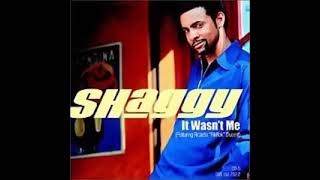 Shaggy - It's Wasn't Me Reggae Remix 