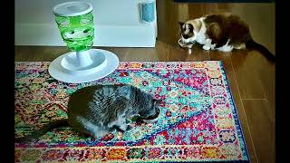 VercinFeatherix - We Know How to Eat!