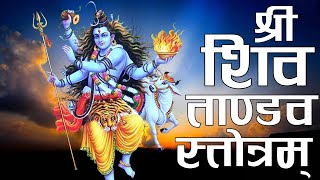 Powerful श्री शिव ताण्डव स्तोत्रम् || Shree Shiva Tandav Stotram #shivatandavstotram #shivatandav 