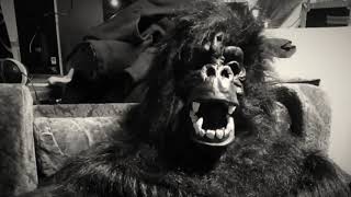 Faarao Pirttikangas & Nubialaiset - Konginkankaan King Kong