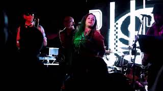 Boogieland Ska and Reggae Band #3522