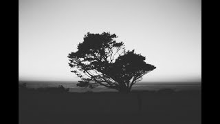 Blind Harper - Bones (x100f clips & shots)
