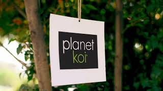 Planet koi Scrubs 42 Second MARCH 2022 FINAL