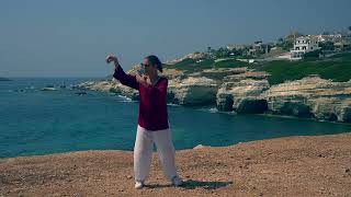 Review Modules 1 - 3 The Wave, Single Whip, Parting Horses mane - holding the crystal ball bonus.