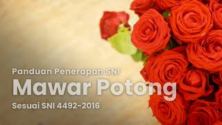 Panduan Penerapan SNI Mawar Potong sesuai SNI 4492-2016
