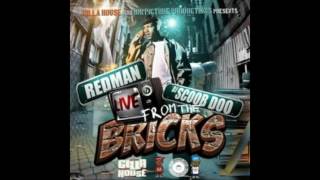 Redman - My First Brick City Song (Live From The Bricks)
