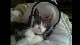 [Playlist] 2021년 연말결산