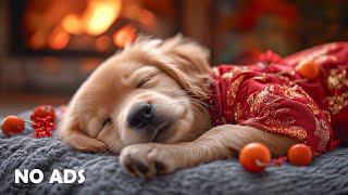 12 HOURS of Dog Calming Music For Dogs 🐶🎅 Separation Anxiety Relief Music 💖 Dog relaxation 🎶 No Ads