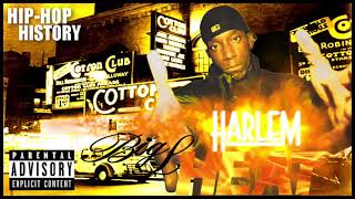Big L - Harlems Finest   (full Mixtape)