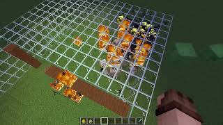 Blazes vs Iron Golems