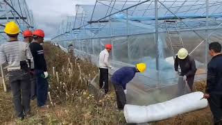 Professional manufacturer of insect proof nets, with discounted prices and guaranteed quality