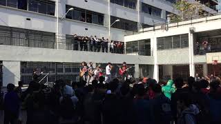 Turbochela en el IN 3/7