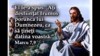PINTILIE SAMUEL-CERCETEAZA-TE