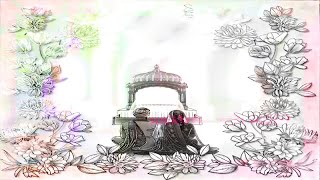 Live Wedding / Dm Live Studio 8872379308