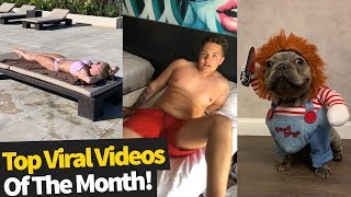50 Best Viral Videos Of The Month - September 2019 (Top Virals)