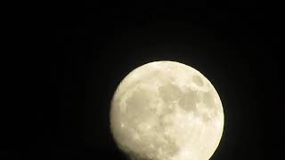 Tonight’s Quiet Moonrise in Sagittarius 2X SPEED | Soft Moonlight & Reiner Gamma Swirl