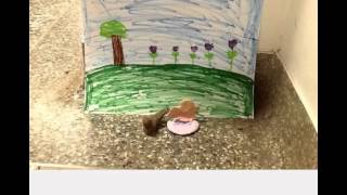 Children and Animals