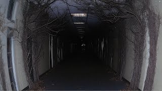 𝐘𝐨𝐮𝐫 𝐋𝐮𝐜𝐢𝐝 𝐃𝐫𝐞𝐚𝐦𝐢𝐧𝐠 𝐀𝐭𝐭𝐞𝐦𝐩𝐭 𝐖𝐞𝐧𝐭 𝐖𝐫𝐨𝐧𝐠 | 𝙻𝚒𝚖𝚒𝚗𝚊𝚕 𝚂𝚙𝚊𝚌𝚎𝚜  𝙼𝚞𝚜𝚒𝚌