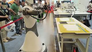 Zoje Robot video 