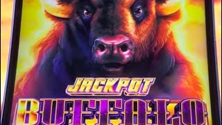 Jackpot Buffalo Bonus