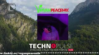 TECHNO PULSE LIVE