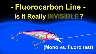 Fluorocarbon vs. Monofilament Lines - Visibility Test Underwater