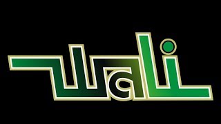 Yank by Wali Guitar Solo Cover