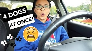What the heck did I get myself into 😩 | Francis Martinez