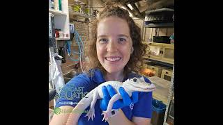 Mic Droplet: What the Heck is Leucism?
