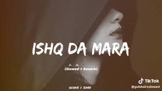 ISHQ DA MARA Full video song