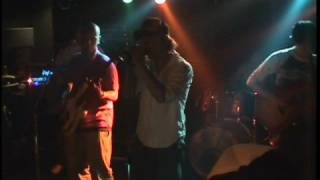 THE CORAL REEFS -empty world- live