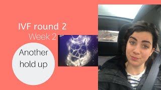 IVF round 2– week 2, another hold up
