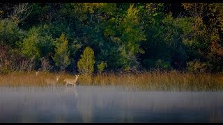 SWMLC Portman Nature Preserve