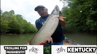 Muskie Destroys Crankbait While Trolling ll Tuff weather conditions made it ruff to move a fish