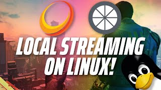 Self-hosted Game Streaming on Linux! Sunshine & Moonlight!