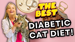 Treats & Diet for Diabetic Cats Simply Explained! | Dr. Lindsay Butzer Veterinarian
