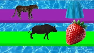 paint Animals cartoon|transformation cartoon #fountaincrossing #viral