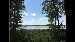 A balance of bush, lowlands, lakefront and wildlife for the perfect property site!