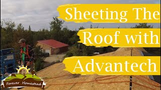 Sheeting The Roof with Advantech Sheeting (Building a Partial Timber Frame Alone) S05E09