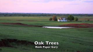 OAK TREES