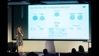 Neurotechnology Showcase (Brain³ Summit)