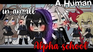 🐺A human in an all alpha school🐺|| GLMM