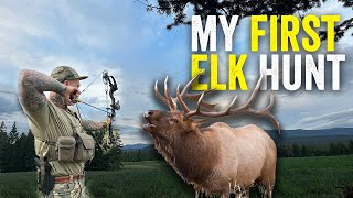 elk hunt