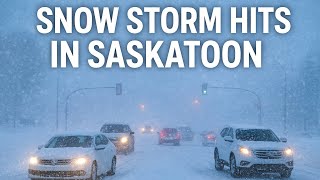 Today’s Saskatoon snow storm 🌨️ 