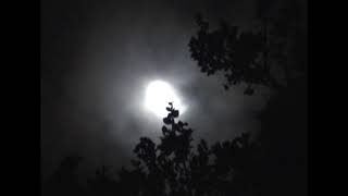 Lunallena
