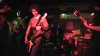 Sensible Fun - Whales on Stilts